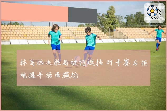 林高远决胜局被指遮挡 对手赛后拒绝握手场面尴尬