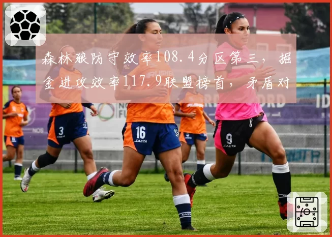 森林狼防守效率108.4分区第三，掘金进攻效率117.9联盟榜首，矛盾对决数据全面拆解